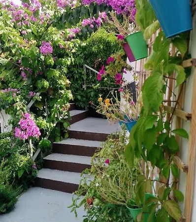 Apartman Branko Kuzmicic *