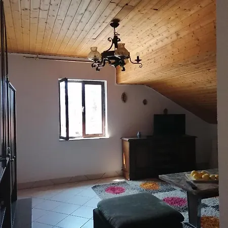 Branko Kuzmicic * Jelsa