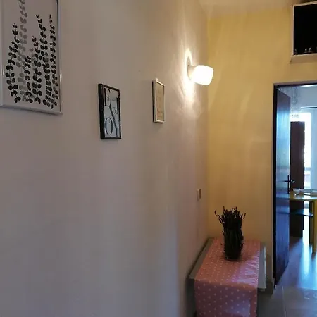 Branko Kuzmicic Apartman *